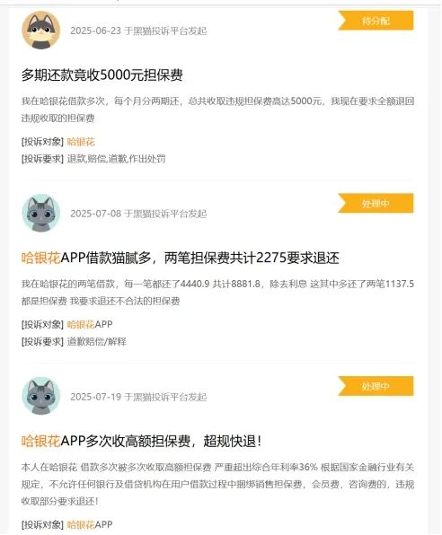 哈银花等贷款年利率高达400% 复星系商盟支付提供支付服务(图1) 图片