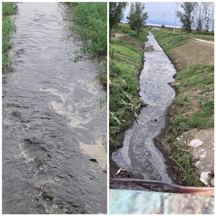 柘城"美丽牧场"排污罗生门:企业称暴雨所致 村民指长期偷排(图3) 2.jpg