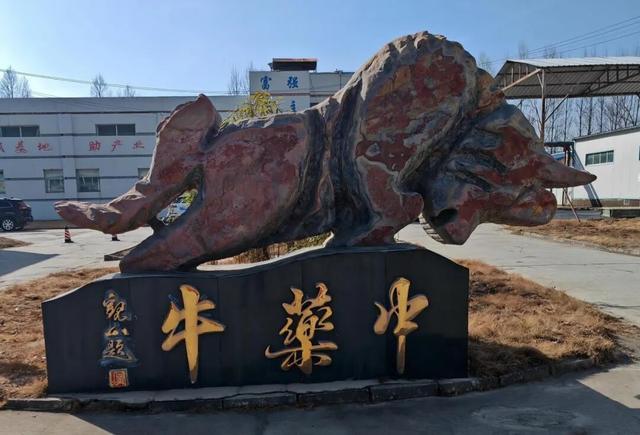 备案被取消、销售未停止 暗访甘肃岷海制药"无违规胶囊"黑产(图19)