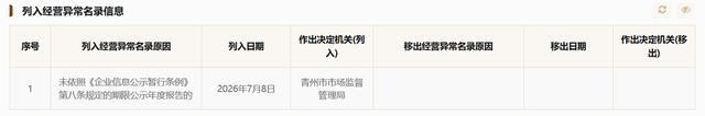 青州晟发房屋租赁仍有400万票据逾期 还被列入经营异常名录(图5)